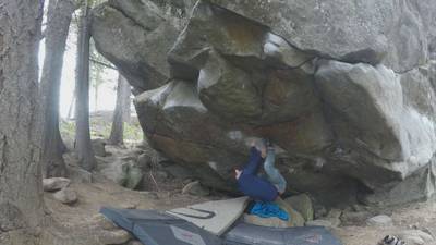 Immortal Techniques v9, Leavenworth - Beta Video from TinyDynos