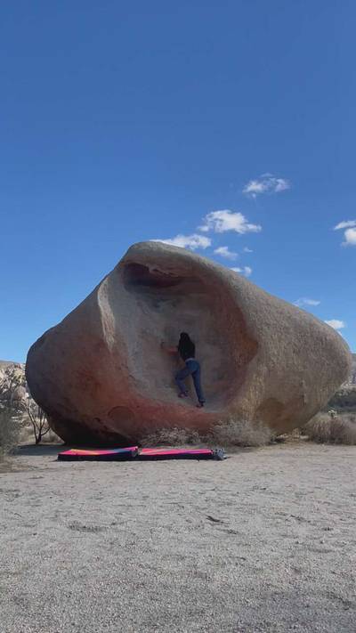 Womb v0, Joshua Tree - Beta Video from iamgroot