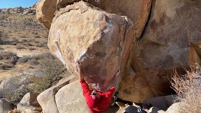 Mulligan Variation v7, Joshua Tree - Beta Video from aviv