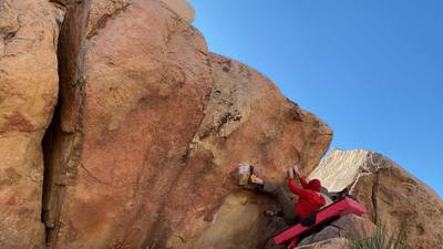 Monkeyflower v3, Joshua Tree - Beta Video from aviv