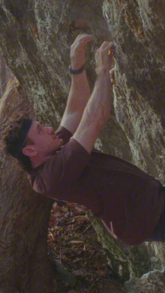 Dogwood Blossoms v8, Gunpowder Falls - Beta Video from jeordman