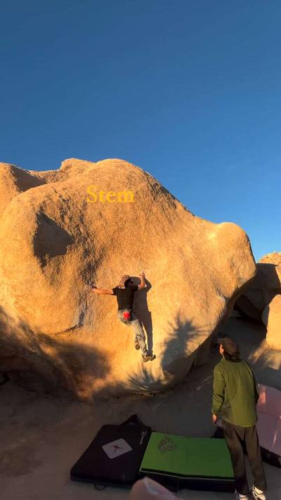 Stem Gem v4, Joshua Tree - Beta Video from sea_________weed