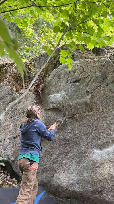 One Piece v0, Gold Bar - Beta Video from pnw.cat