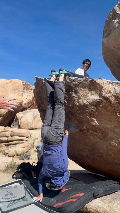 Sit Down Flake v2, Joshua Tree - Beta Video from Sophia_L