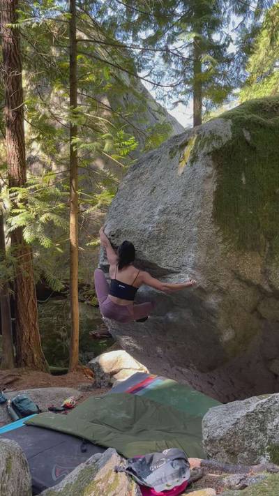 The Bee Professor v9, Squamish - Beta Video from ZoeBeau