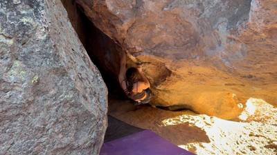 Mad Cow v11, Bishop - Beta Video from jacqweeeee