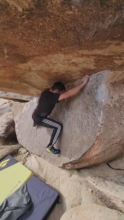 Chocolate Roof Right v3, Joshua Tree - Beta Video from OmgisthataPug