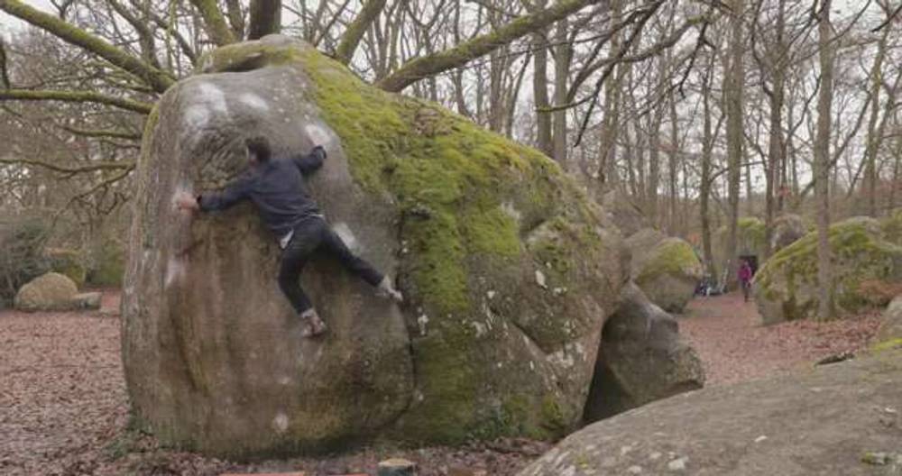 Contrôle Technique v10, Fontainebleau - Beta Video from jonglassberg