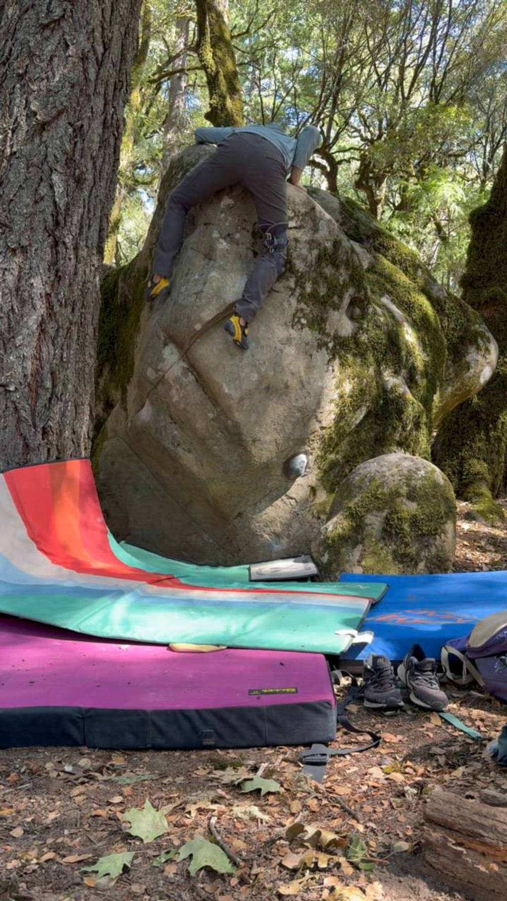 Pitbull v8, Castle Rock State Park - Beta Video from Rising