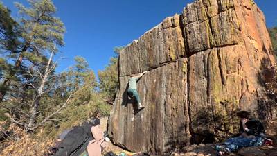 Beautiful Pig v6, Roy - Beta Video from AndrewSpiars