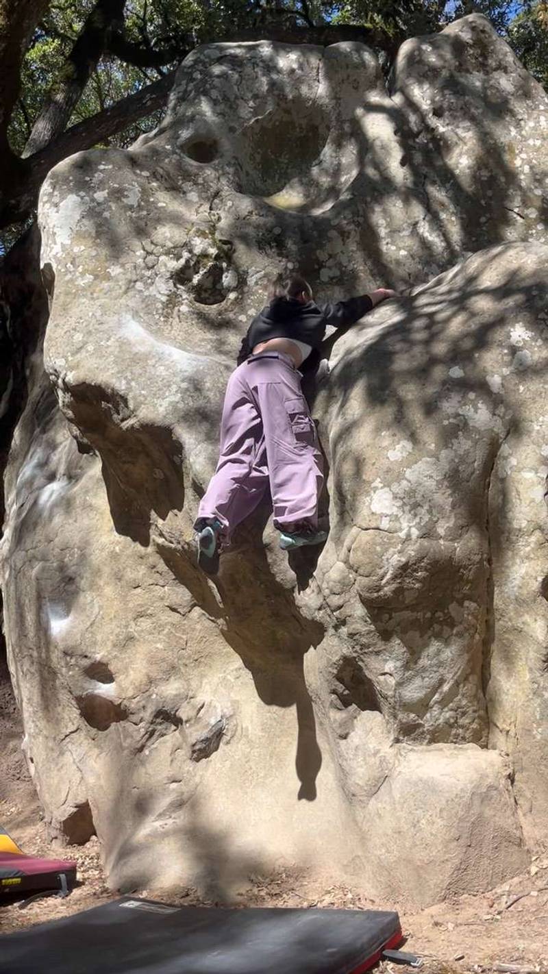 Unnamed Bulb v0, Castle Rock State Park - Beta Video from monkieonthewall