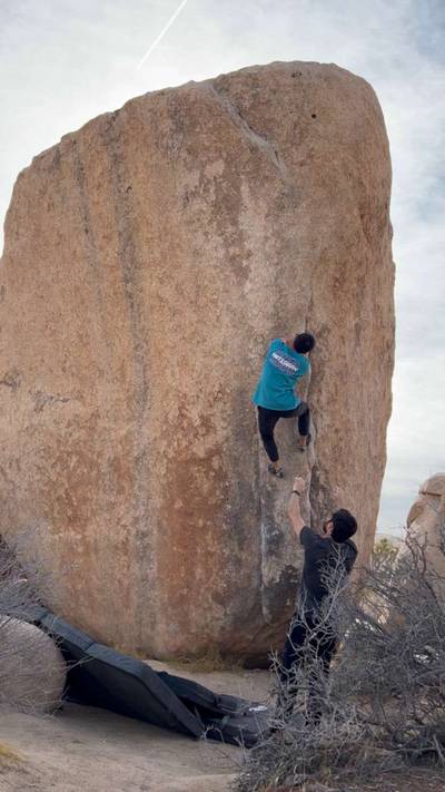 White Rastafarian v3, Joshua Tree - Beta Video from Pebble_Ascender