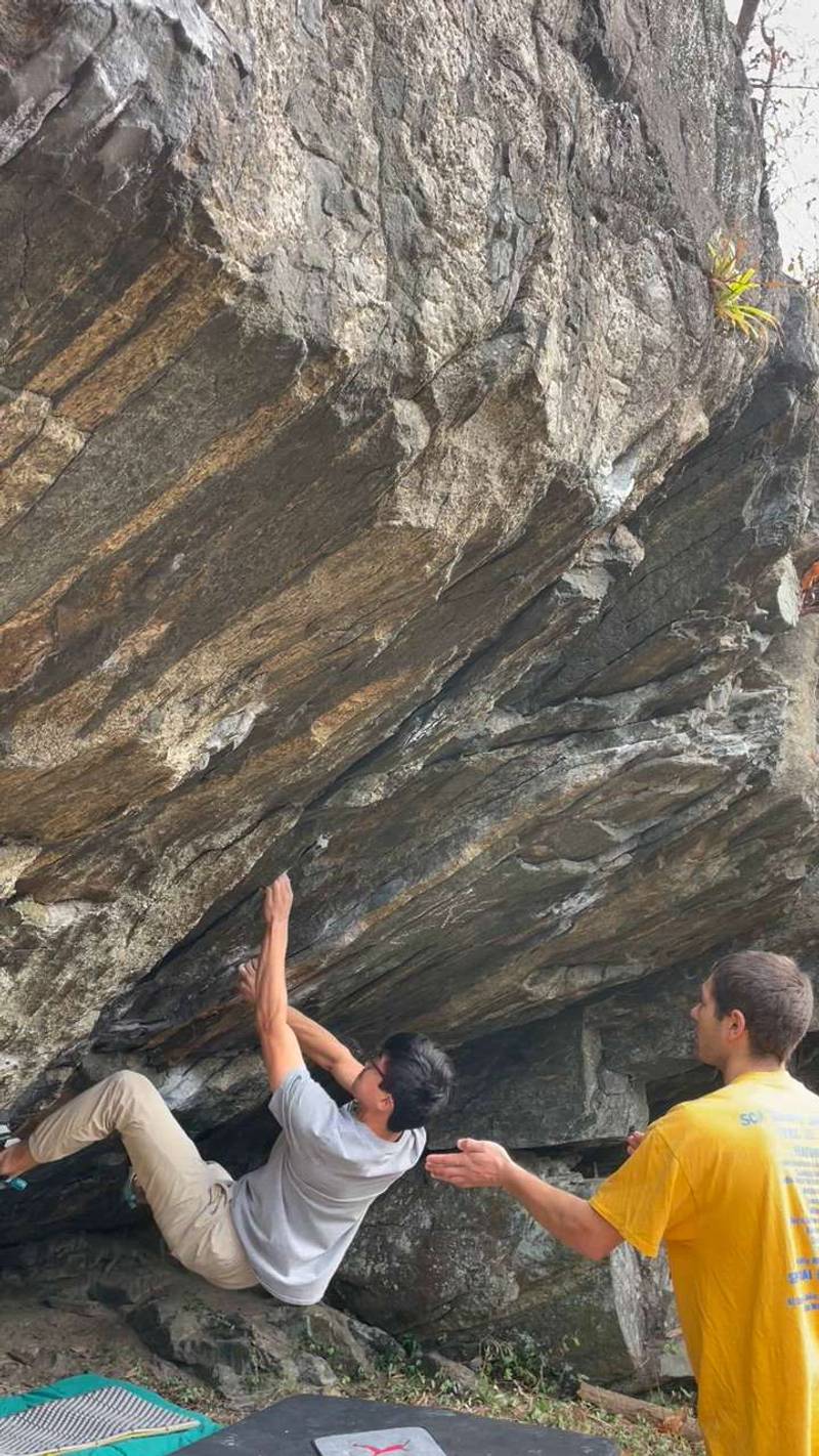 The Tiger in You v8, Gunpowder Falls - Beta Video from enzosolo