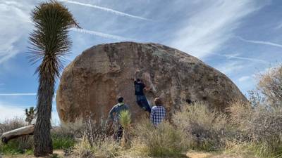 Fry Problem v3, Joshua Tree - Beta Video from breakingbeta