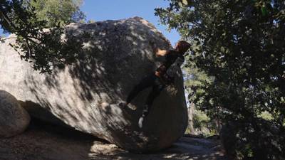 The Falcon v5, Horse Flats - Beta Video from breakingbeta