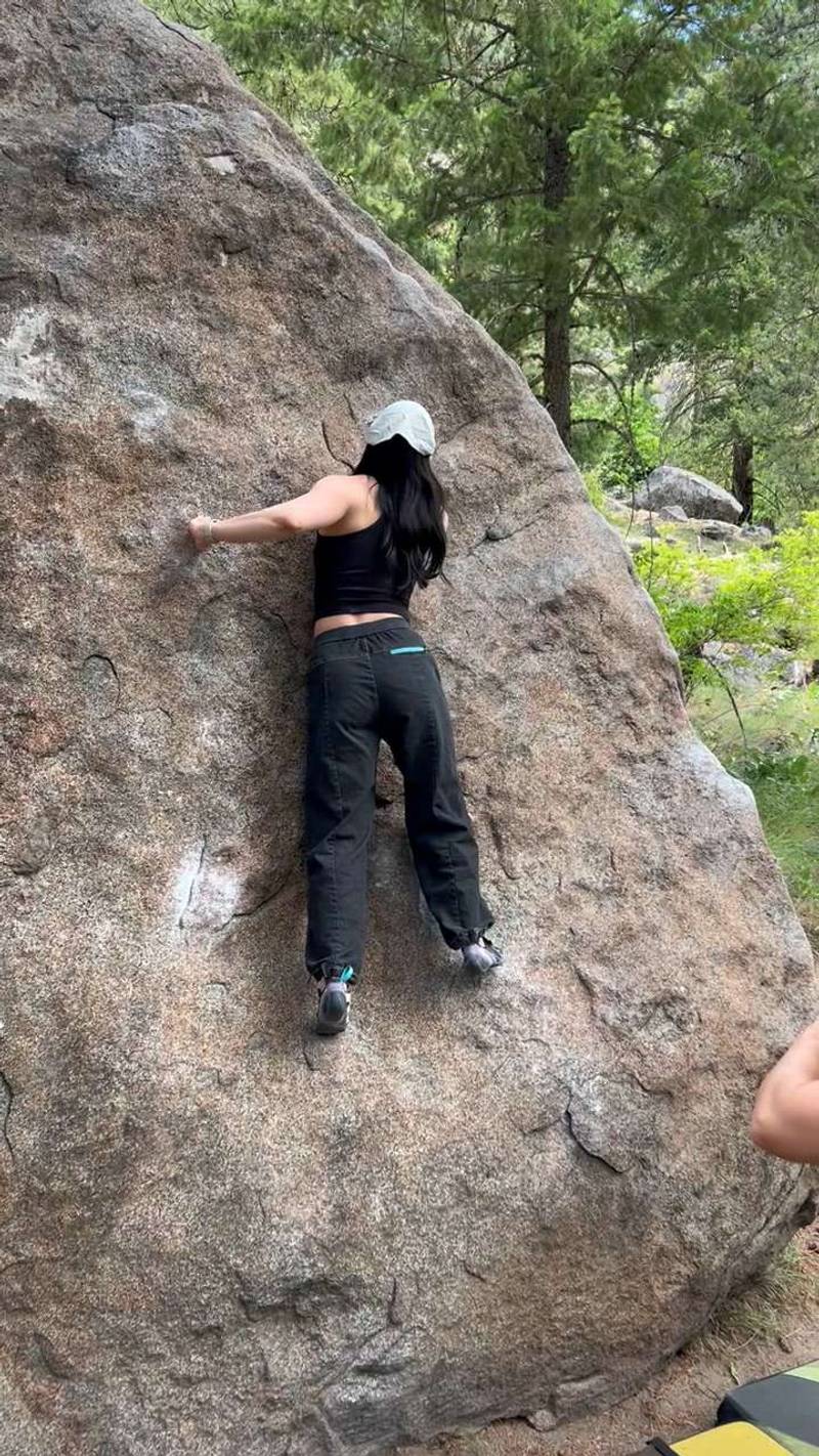 Cowardly Lion v0, Leavenworth - Beta Video from Puddingcc