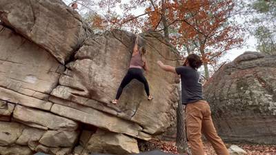 Genesis v3, Horse Pens 40 - Beta Video from coachjess