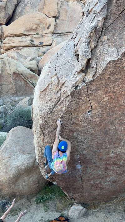 Penguins in Bondage v4, Joshua Tree - Beta Video from advian