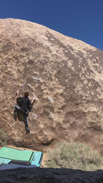 LHMFP v4, Joshua Tree - Beta Video from j.k0000