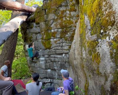 Tigerlily Left v6, Leavenworth - Beta Video from spicytomato