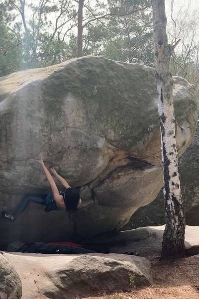 Goriak v8, Fontainebleau - Beta Video from naomisaito