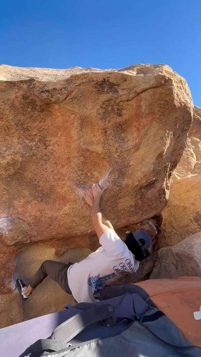 Monkeyflower v3, Joshua Tree - Beta Video from advian