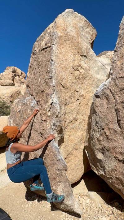 Mr. H vB, Joshua Tree - Beta Video from Vidhya
