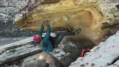 Bonsai v7, Red Rock - Beta Video from breakingbeta