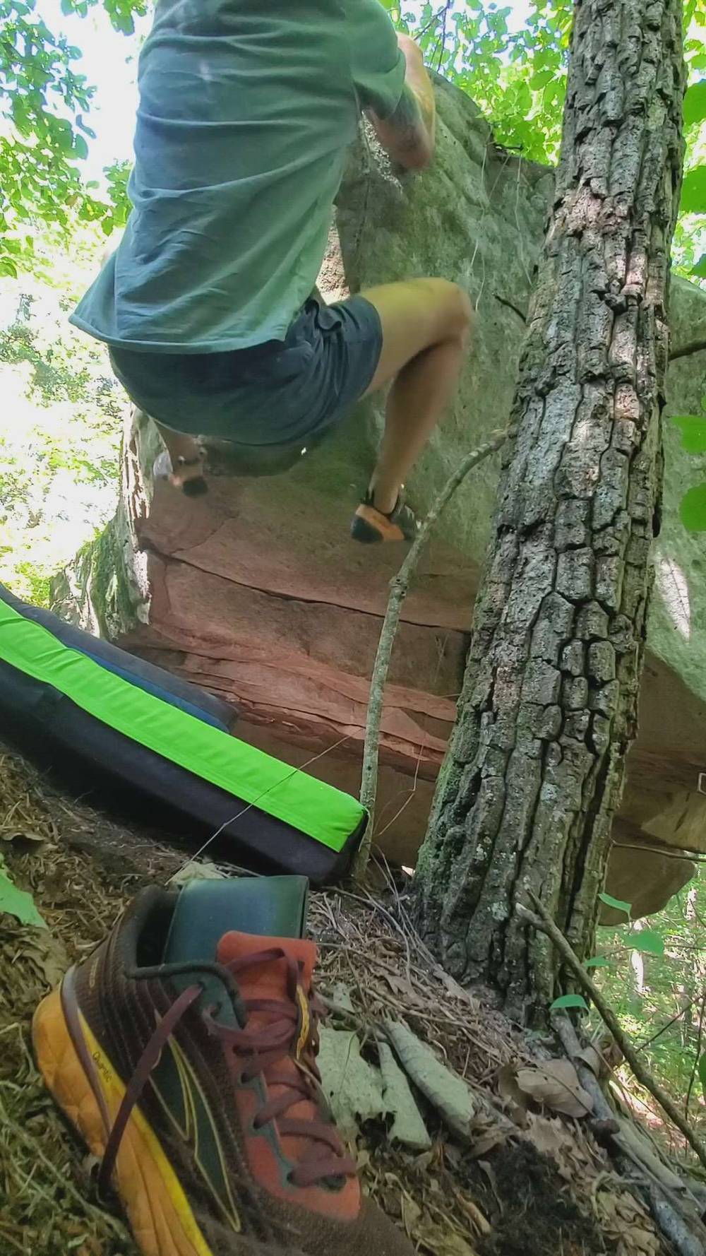 The Shrew v7, Zahnd - Beta Video from fvkkvlt