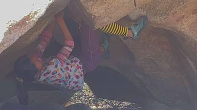Pigpen v4, Joshua Tree - Beta Video from Prajmatic
