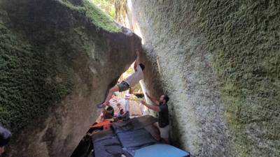 Money Badger v6, Index - Beta Video from BrianYang