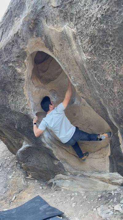 External Tulips v7, Joe's Valley - Beta Video from sam.meow