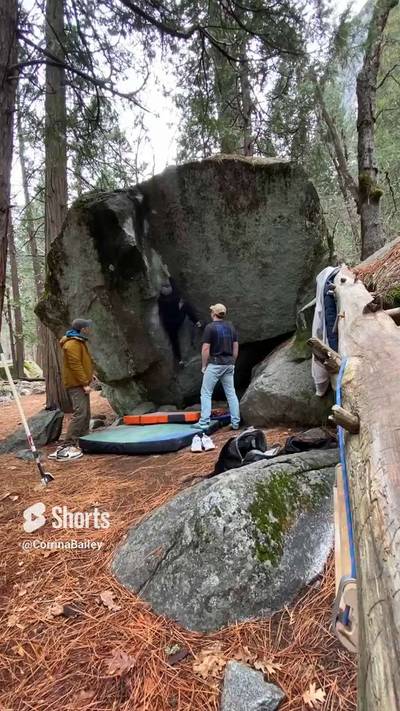 Root Canal v7, Yosemite Valley - Beta Video from alexsendssoft