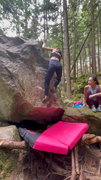 Carpenter Ants v1, Squamish - Beta Video from JennyRobbins