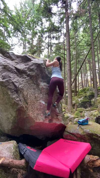 Carpenter Ants v1, Squamish - Beta Video from annajanzen