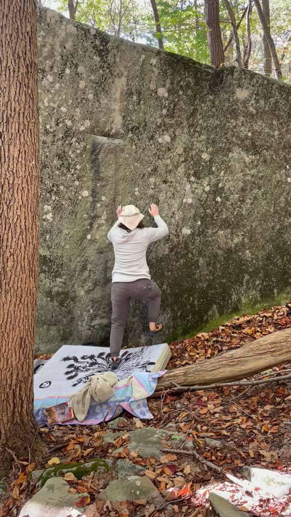 Fiddly v0, Coopers Rock - Beta Video from BiffingIt
