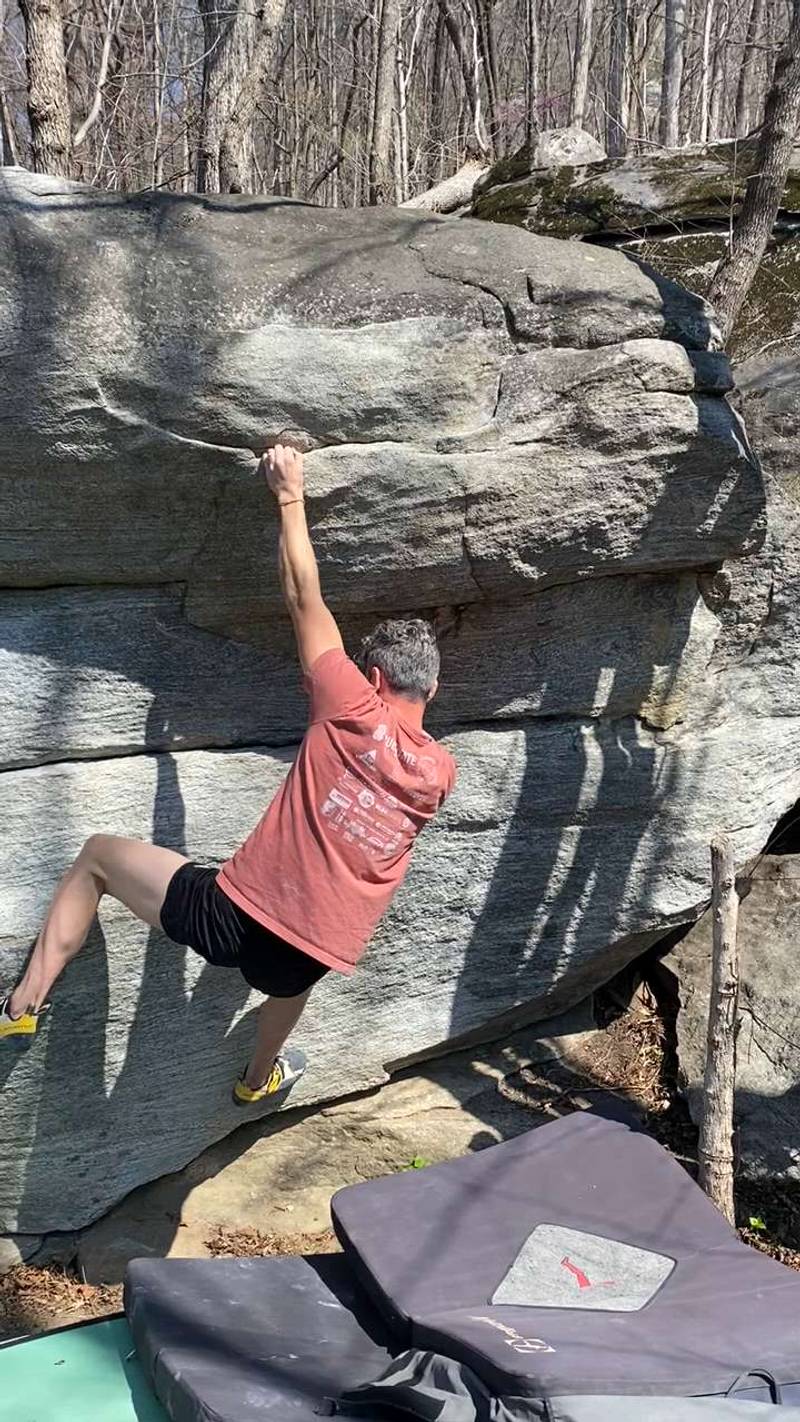 Anthropomorphic Egg v1, Rumbling Bald - Beta Video from DStone