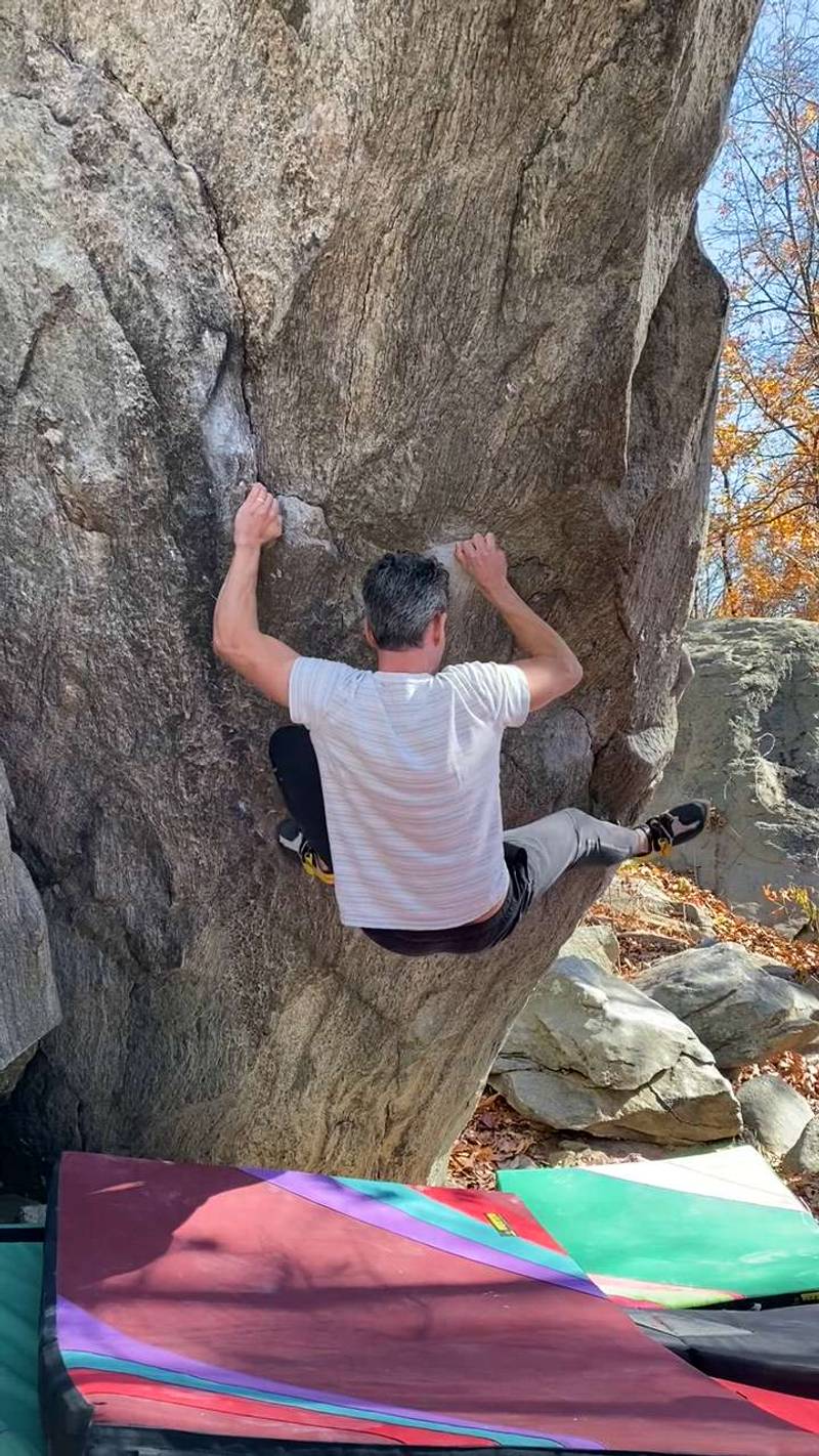 Tasty Freeze Girl v8, Rumbling Bald - Beta Video from DStone