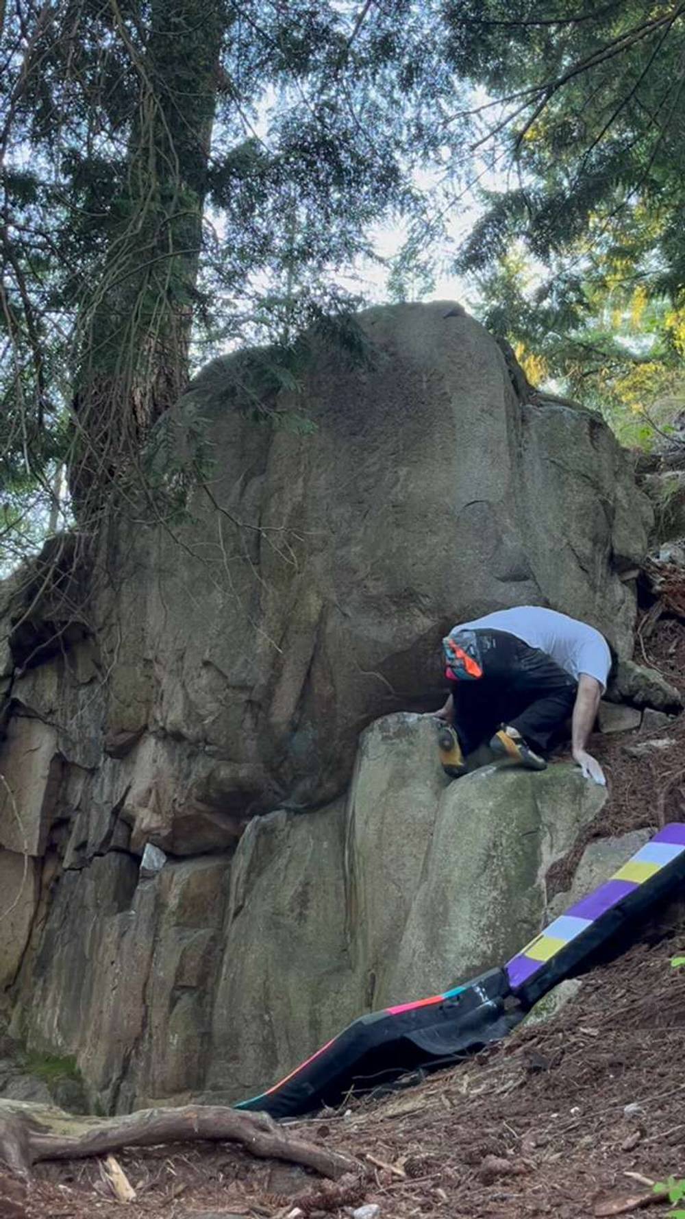 right cheek v1, Vancouver - Beta Video from long_bear
