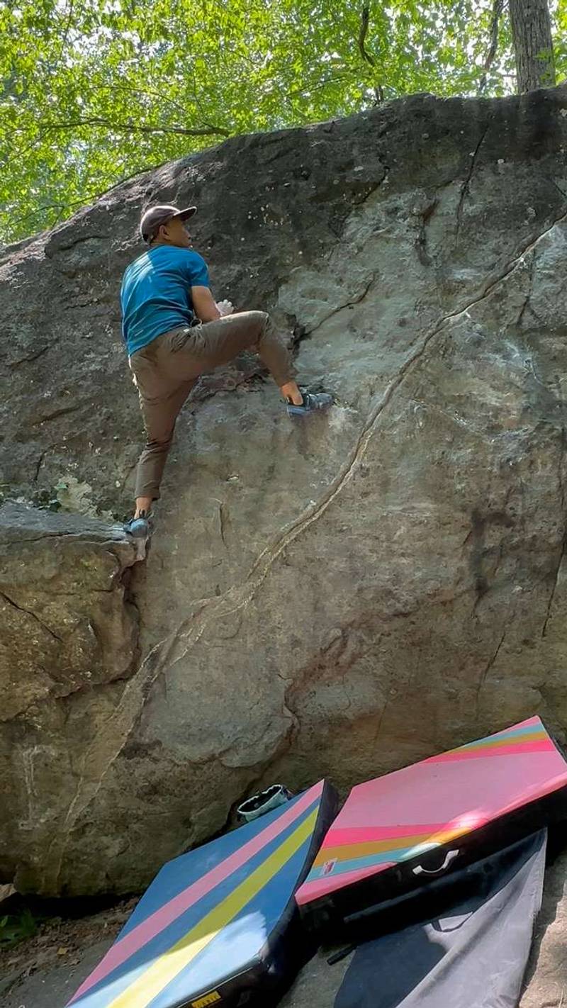 Booby Trapped Dog Dish v2, Northwest Branch - Beta Video from RockaTanaka