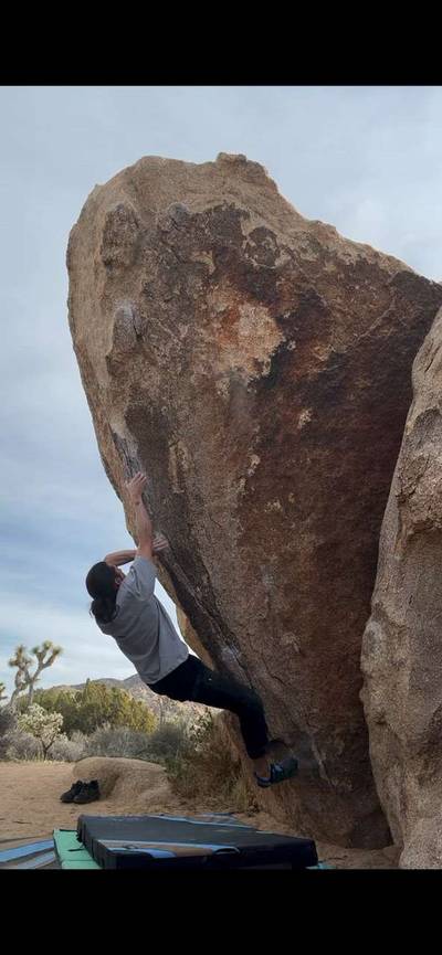 Picture Perfect Sit v5, Joshua Tree - Beta Video from BrotherSeth