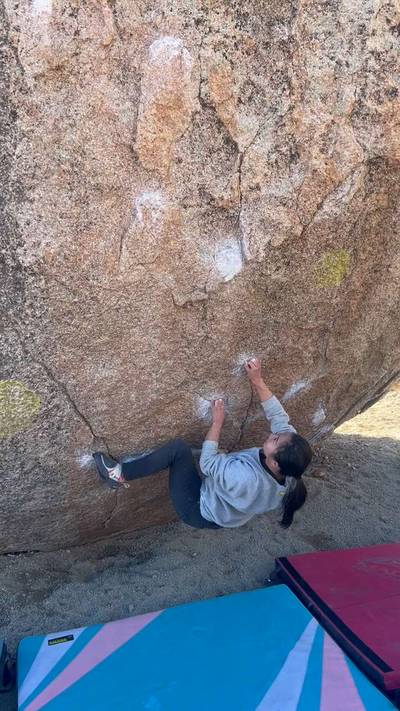 Perfectly Chicken v5, Bishop - Beta Video from amytang0