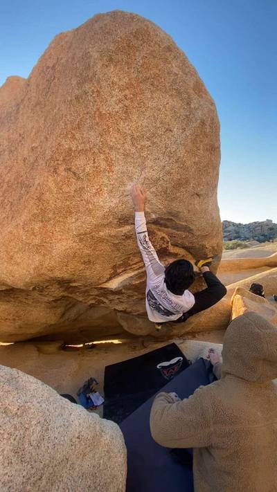 Mystical Vibrations v5, Joshua Tree - Beta Video from _catharsism