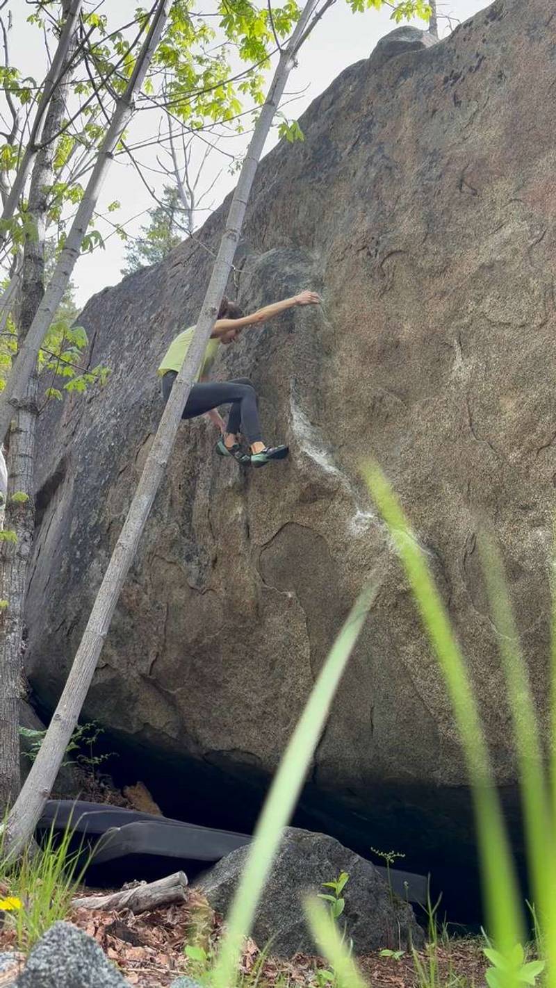 River Snorkeling v4, Leavenworth - Beta Video from nicolemaksi