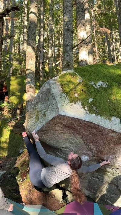 Who Nose v7, Gold Bar - Beta Video from EmilyRothrock
