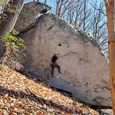 The Carnation Affair v8, Coopers Rock - Beta Video from SlabJusticeWarrior