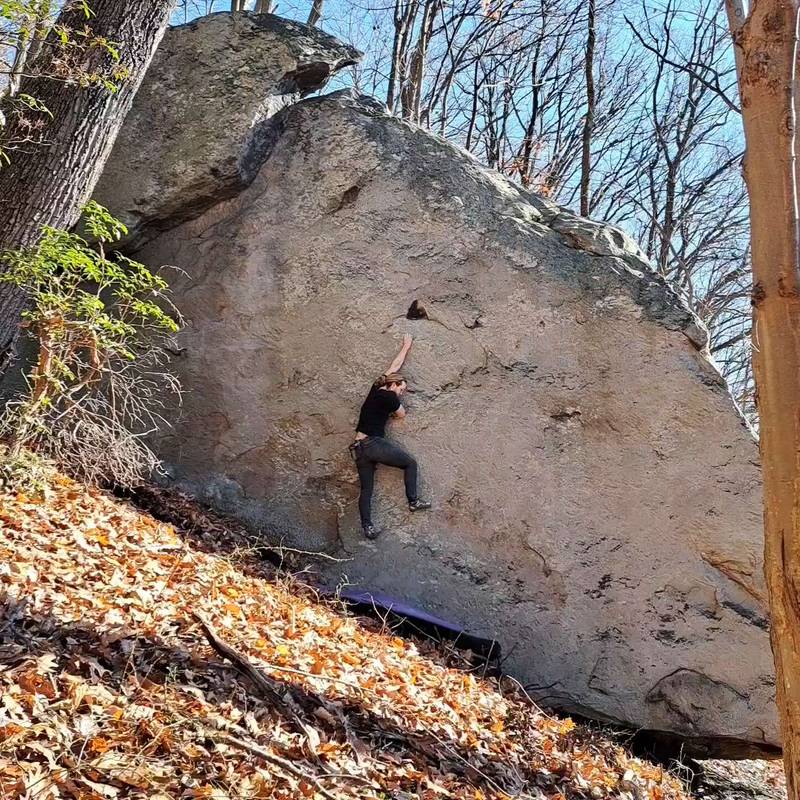 The Carnation Affair v8, Coopers Rock - Beta Video from SlabJusticeWarrior
