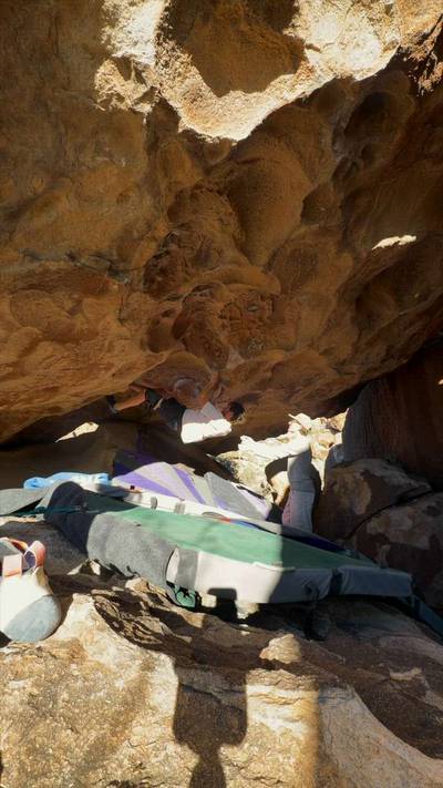 Purple Flowers v9, Hueco Tanks - Beta Video from MorganP