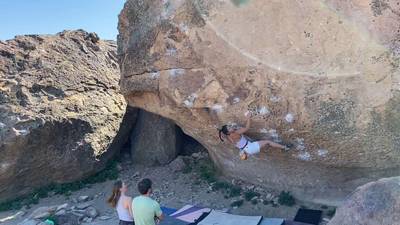 Morning Dove White v7, Bishop - Beta Video from cnerps