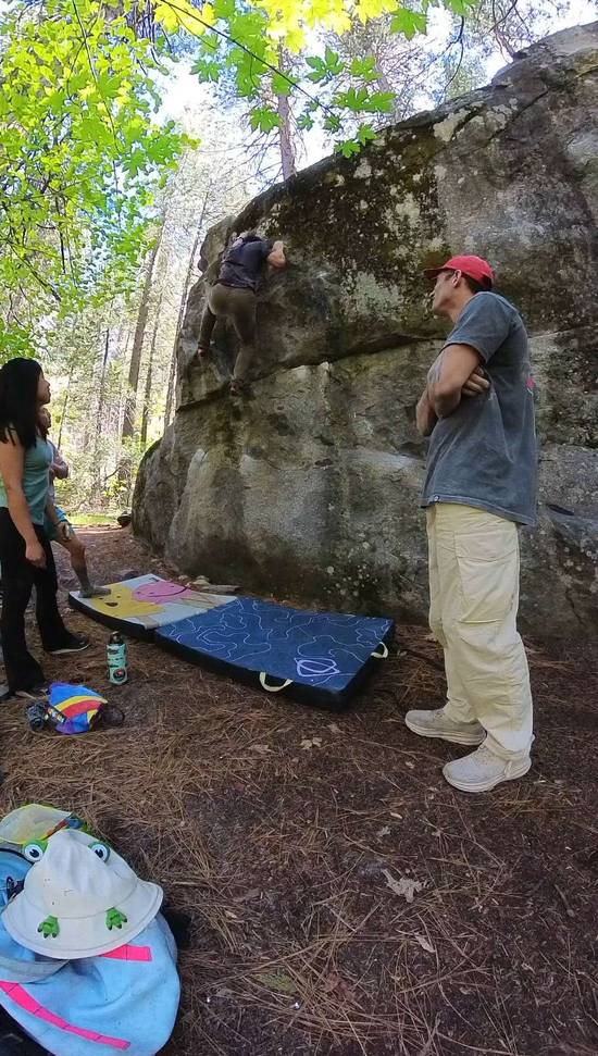 Critterfish v0, Yosemite Valley - Beta Video from edasaur